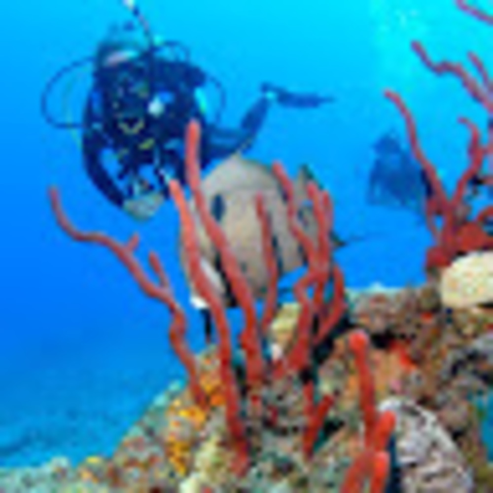 Meet your Posher, Kacy